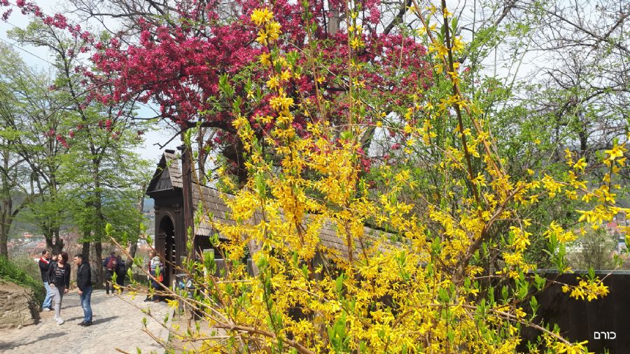 רומניה פסח 2019